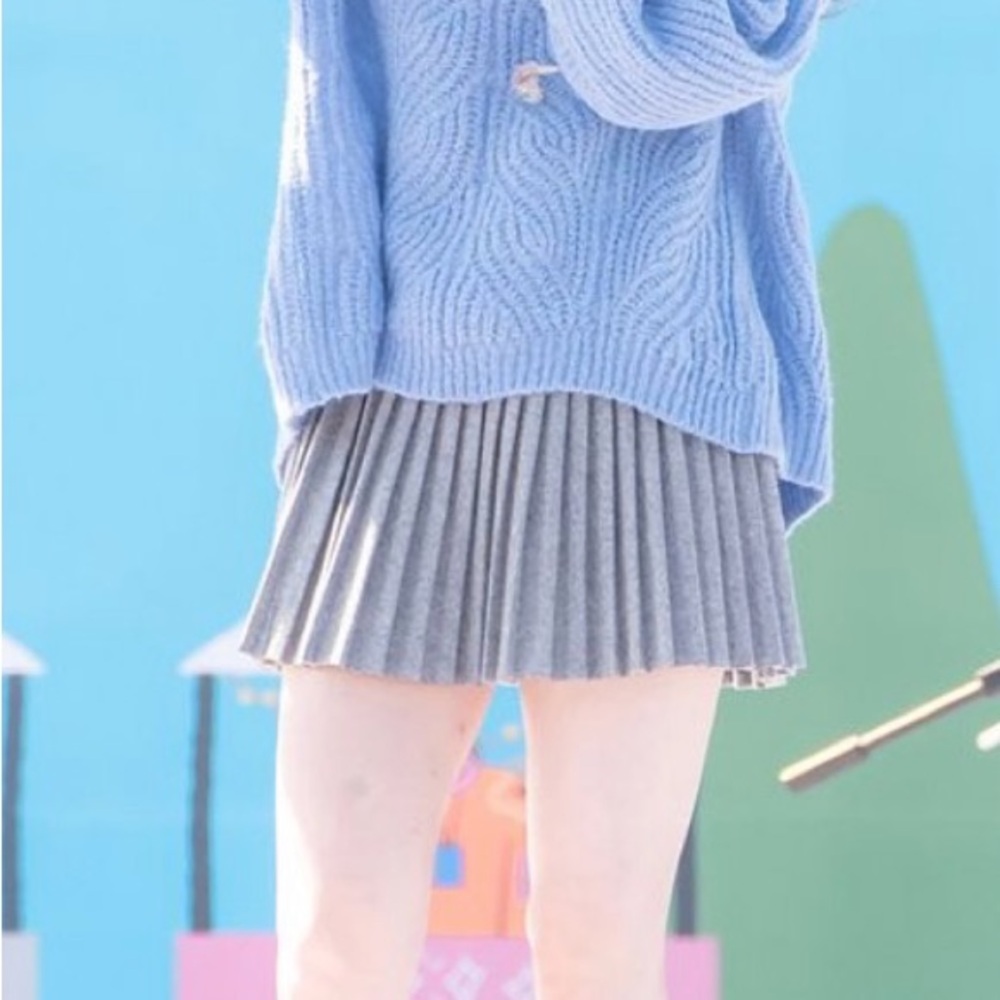Gray Pleated Skirt
